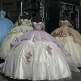 Elegant Shiny Embroidery Sweet 16 Quinceanera A-Line Floor-length Prom Dress Birthday Dress Evening Dress Ball Gown HZ1024