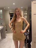 Vintage Golden Sheath Homecoming Dress Shiny Beaded Party Dress Short Cocktail Dress HZ1024
