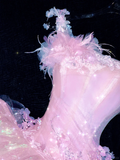Sparkling Elegant Pink A-Line Tiered Prom Dress Evening Dress Ball Gown HZ1024