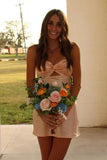 Chic Strapless Sweetheart Backless Sheath Sleeveless Short Party Dress Homecoming Dress HZ1024