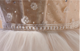 Vintage Beige 3D Flowers Beaded Design Elegant Mesh Sleeveless Strapless Homecoming Dress HZ1024